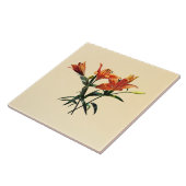 Gruppe Orange Lilies Fliese (Seite)