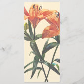 Gruppe Orange Lilies Menükarte (Rückseite)