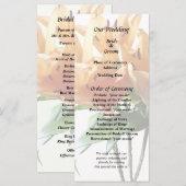 Gruppe Orange Lilies Programm (Vorne/Hinten)