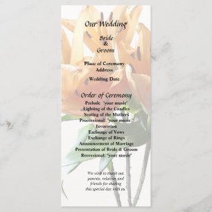 Gruppe Orange Lilies Programm