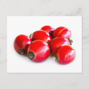 Gruppe reifer Heckenrosenbeeren Postkarte