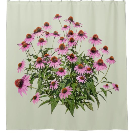 Gruppe rosa Scheinsonnenhüte Duschvorhang (Vorderseite)