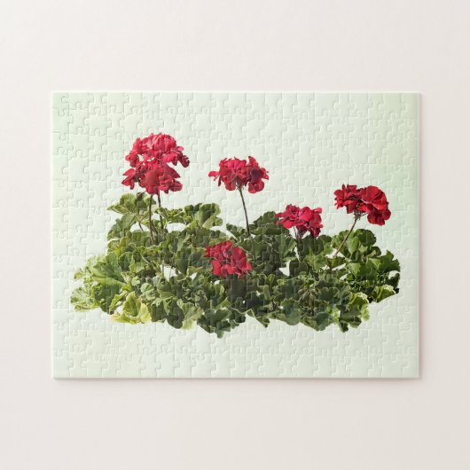 Gruppe roter Geranien Puzzle (Horizontal)