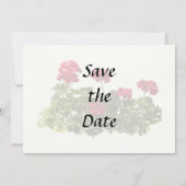 Gruppe roter Geranien Save The Date (Rückseite)