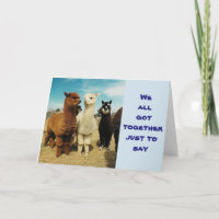 GRUPPE SAGT **HOFFE, DASS IHR GEBURTSTAG FABULOUS 