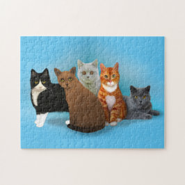 Gruppe schöne Katzen für Katzen Liebhaber Puzzle