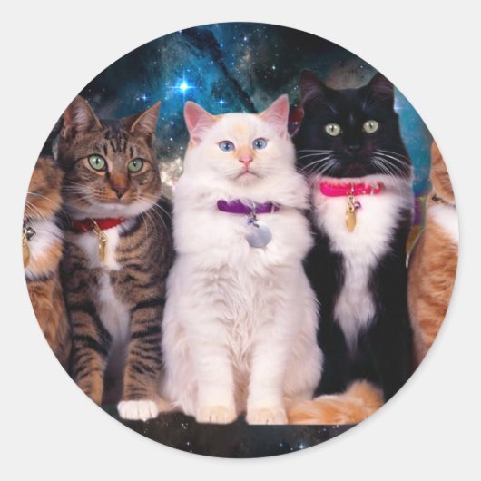 Gruppe sitzender Katzen Runder Aufkleber (Vorderseite)