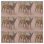 Gruppe Stoff (Muster)