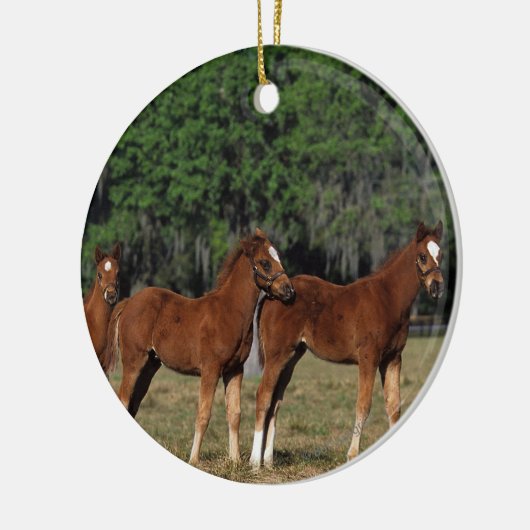 Gruppe Thoroughbred-Fohlen Keramik Ornament (Links)