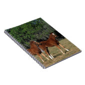 Gruppe Thoroughbred-Fohlen Notizblock (Rechte Seite)