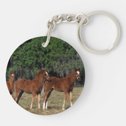 Gruppe Thoroughbred-Fohlen Schlüsselanhänger (Rückseite)