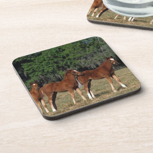 Gruppe Thoroughbred-Fohlen Untersetzer (Linke Seite)