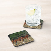 Gruppe Thoroughbred-Fohlen Untersetzer (Rechte Seite)