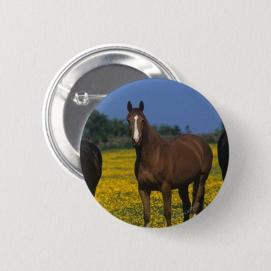 Gruppe Thoroughbred-Pferde Button (Vorne & Hinten)