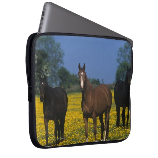 Gruppe Thoroughbred-Pferde Laptopschutzhülle (Vorne Rechts)