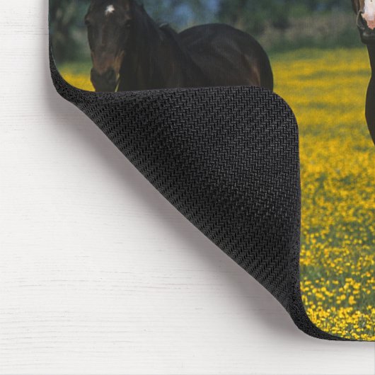 Gruppe Thoroughbred-Pferde Mousepad (Ecke)