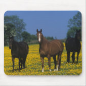 Gruppe Thoroughbred-Pferde Mousepad (Vorne)