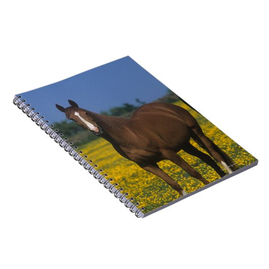 Gruppe Thoroughbred-Pferde Notizblock (Rechte Seite)