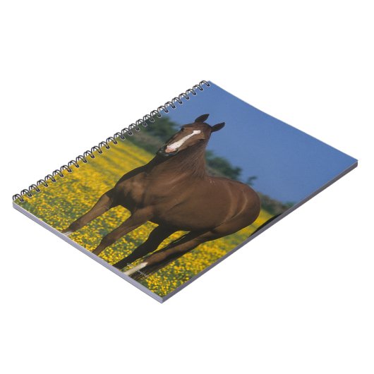 Gruppe Thoroughbred-Pferde Notizblock (Linke Seite)