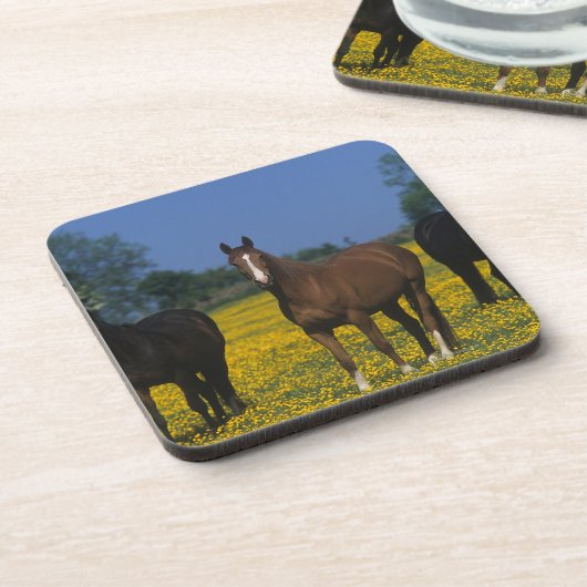 Gruppe Thoroughbred-Pferde Untersetzer (Linke Seite)