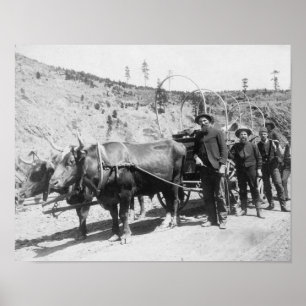 Gruppe von Goldprospektoren Fotografie Poster