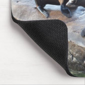 Gruppe von Pelzen Siegeln Mousepad (Ecke)