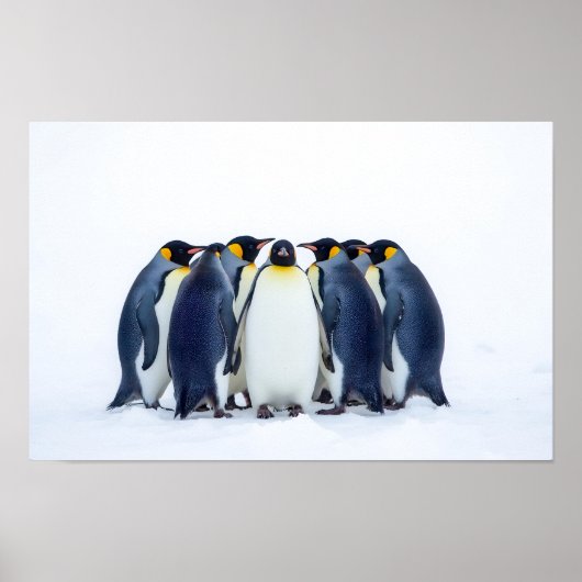 Gruppe von Pinguinen Poster (Vorne)