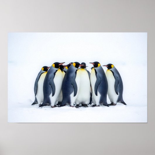 Gruppe von Pinguinen Poster (Vorne)