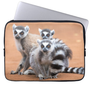 Gruppe von Ringelschwanzmakis Laptopschutzhülle
