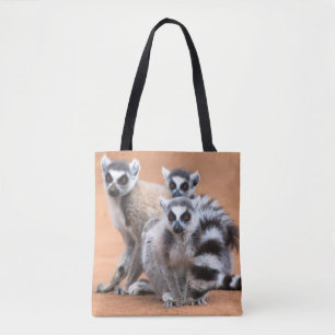Gruppe von Ringelschwanzmakis Tasche