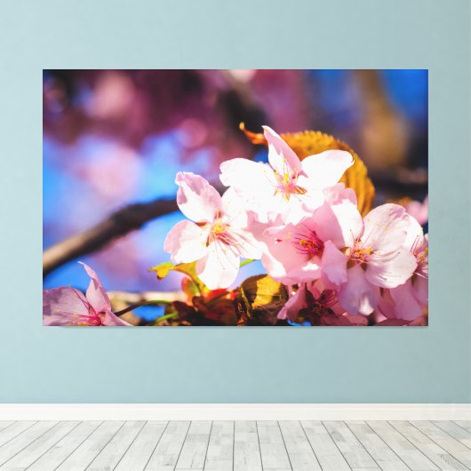 Gruppe von Sakura-Blume, weich rosa, blau Hintergr Leinwanddruck (Insitu (Holzboden))