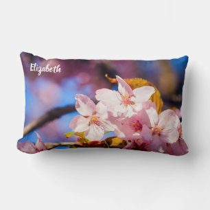Gruppe von Sakura-Blume, weich rosa, blau Hintergr Lendenkissen