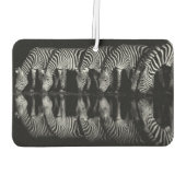 Gruppe von Steppenzebras trinkt nachts zusammen Autolufterfrischer (Rückseite)