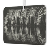 Gruppe von Steppenzebras trinkt nachts zusammen Autolufterfrischer (Links)