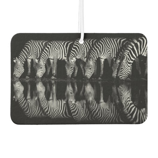 Gruppe von Steppenzebras trinkt nachts zusammen Autolufterfrischer (Vorderseite)