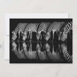 Gruppe von Steppenzebras trinkt nachts zusammen Dankeskarte