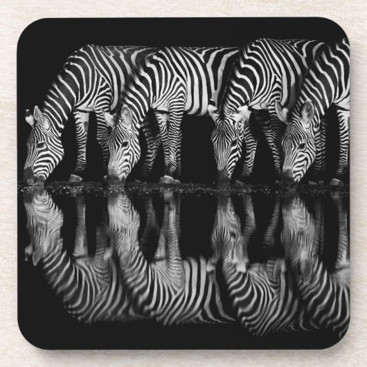 Gruppe von Steppenzebras trinkt nachts zusammen Getränkeuntersetzer (Vorderseite)