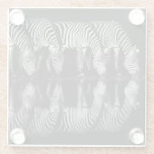 Gruppe von Steppenzebras trinkt nachts zusammen Glasuntersetzer (Rückseite)