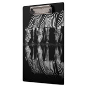 Gruppe von Steppenzebras trinkt nachts zusammen Klemmbrett (Links)