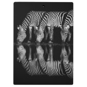 Gruppe von Steppenzebras trinkt nachts zusammen Klemmbrett (Rückseite)