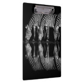 Gruppe von Steppenzebras trinkt nachts zusammen Klemmbrett (Rechts)