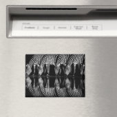 Gruppe von Steppenzebras trinkt nachts zusammen Magnet (In Situ (Geschirrspüler))