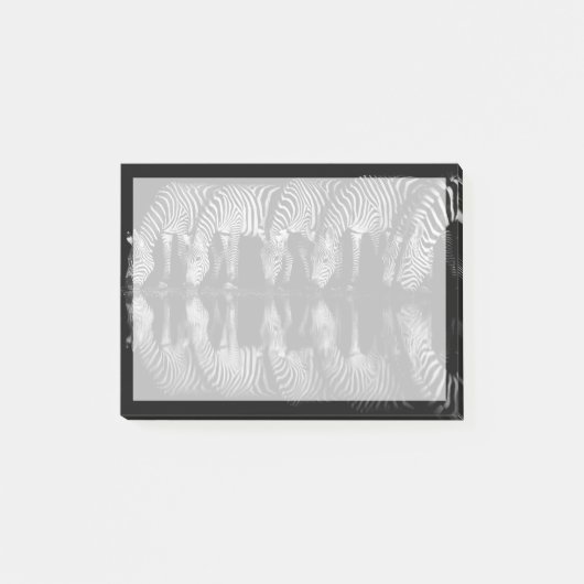 Gruppe von Steppenzebras trinkt nachts zusammen Post-it Klebezettel (Vorderseite)