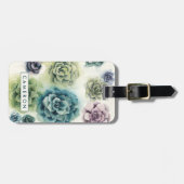 Gruppe von Succulents Gepäckanhänger (Vorderseite horizontal)