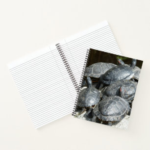 Gruppe von Sumpfschildkröten Foto Notizblock