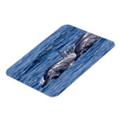 Gruppe von Tümmler Magnet (Linke Seite)