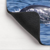 Gruppe von Tümmler - Oman Mousepad (Ecke)