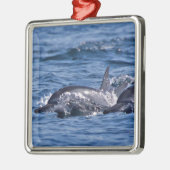 Gruppe von Tümmler - Oman Ornament Aus Metall (Links)