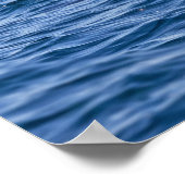 Gruppe von Tümmler - Oman Poster (Ecke)