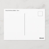 Gruppe von Tümmler - Oman Postkarte (Rückseite)